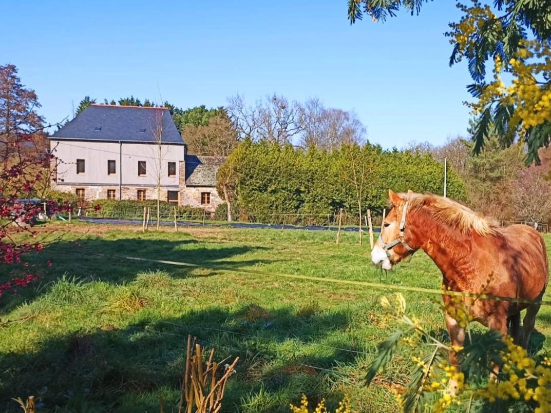 Chambre D'Hote En Gite - Moulin De La Houssaie - Broceliande Guer 외부 사진