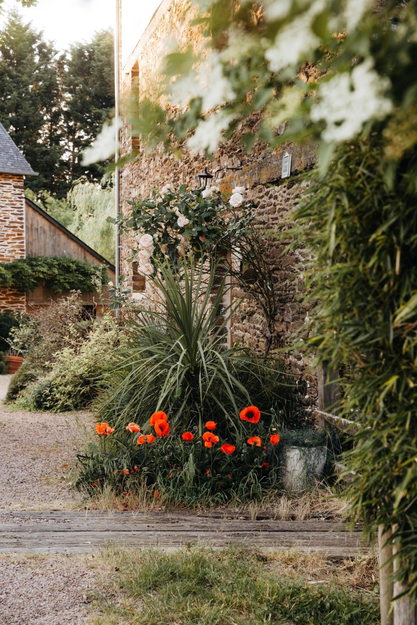 Chambre D'Hote En Gite - Moulin De La Houssaie - Broceliande Guer 외부 사진