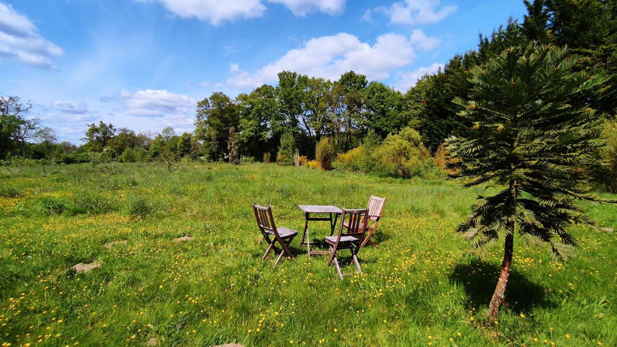 Chambre D'Hote En Gite - Moulin De La Houssaie - Broceliande Guer 외부 사진
