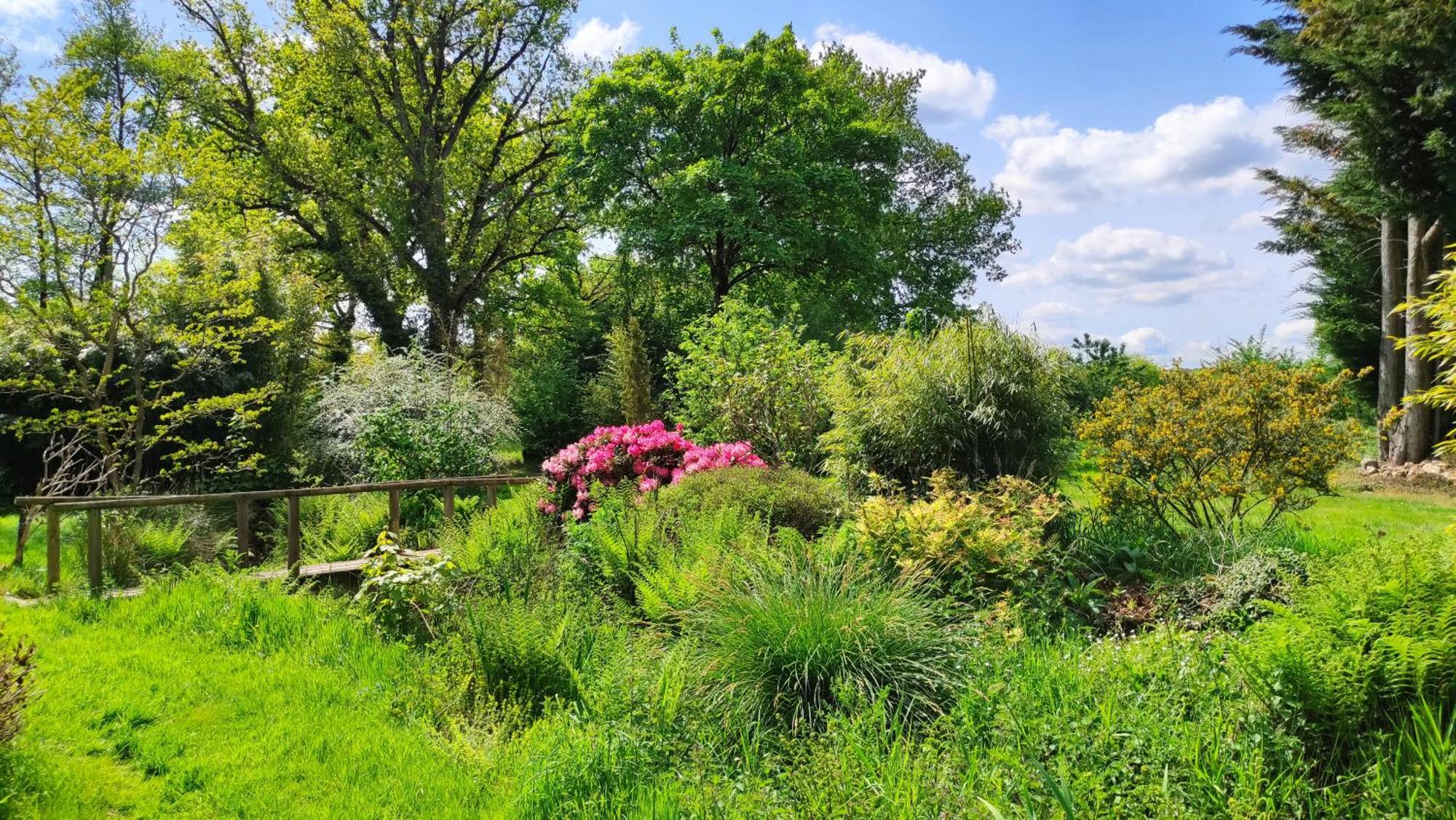 Chambre D'Hote En Gite - Moulin De La Houssaie - Broceliande Guer 외부 사진